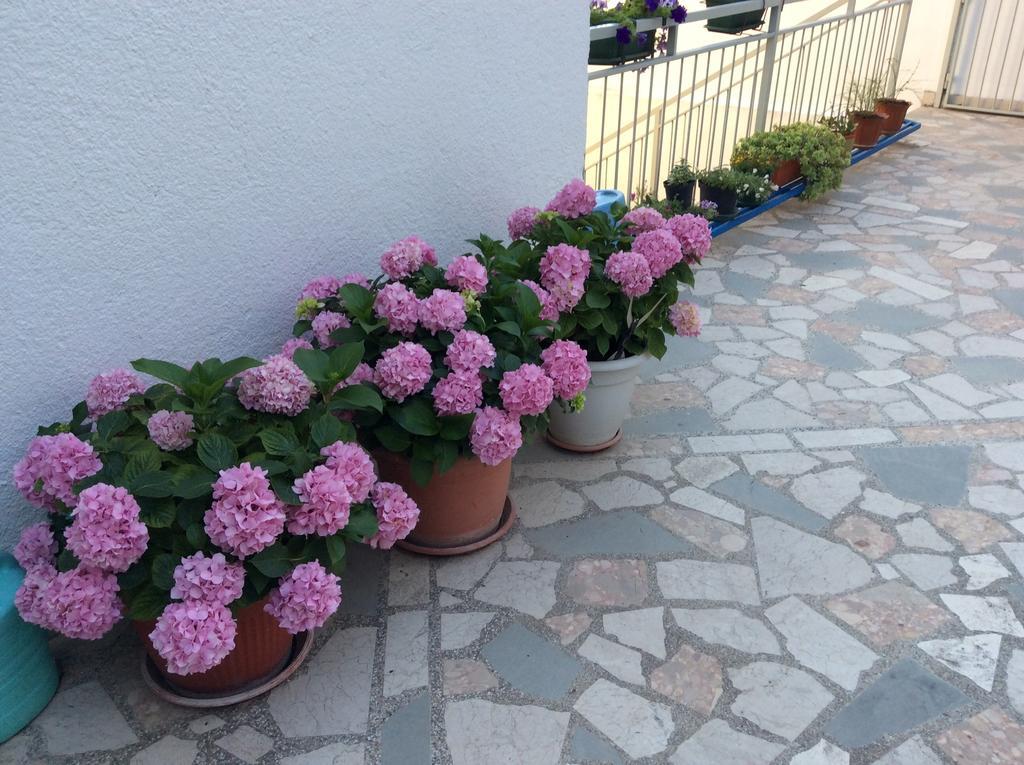 Apartment Satus Подстрана Номер фото